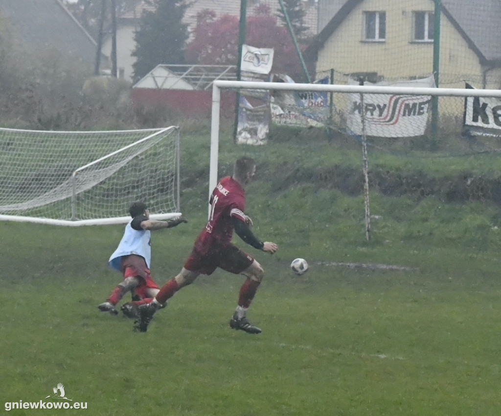 Mikrus - Dąb Bąkowo/Dąbrowa Biskupia 22.10.22