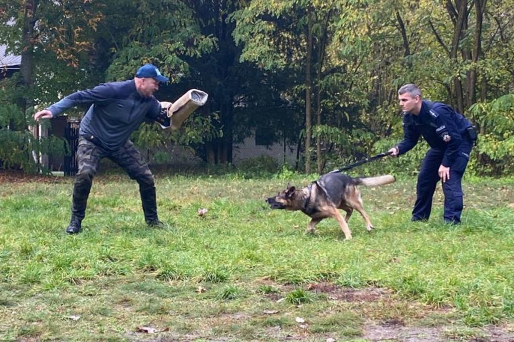 Policjanci z psami w Nadleśnictwie Gniewkowo