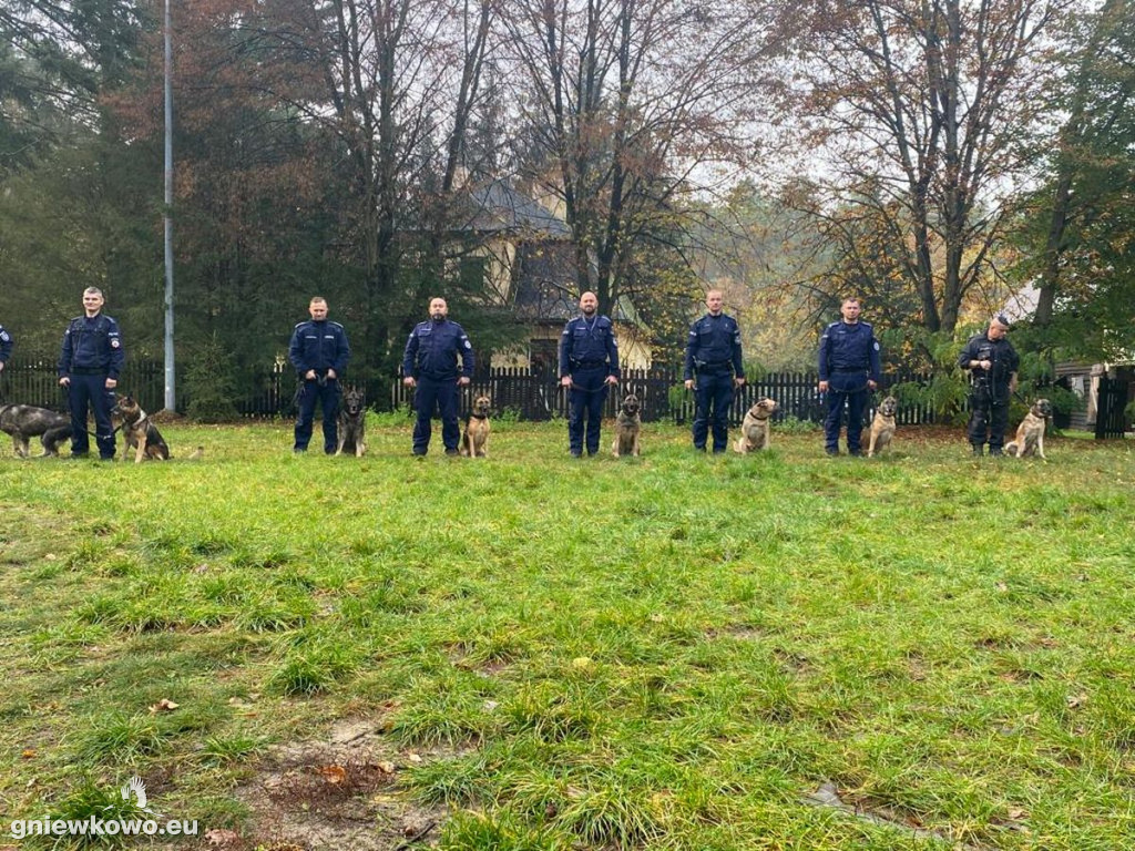Policjanci z psami w Nadleśnictwie Gniewkowo
