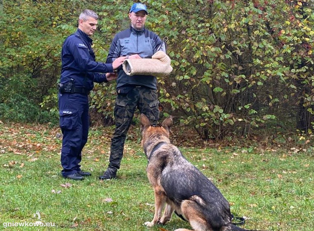 Policjanci z psami w Nadleśnictwie Gniewkowo