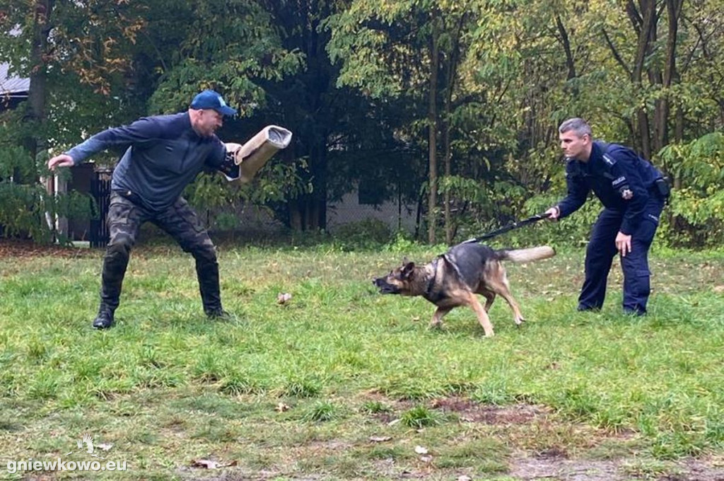 Policjanci z psami w Nadleśnictwie Gniewkowo