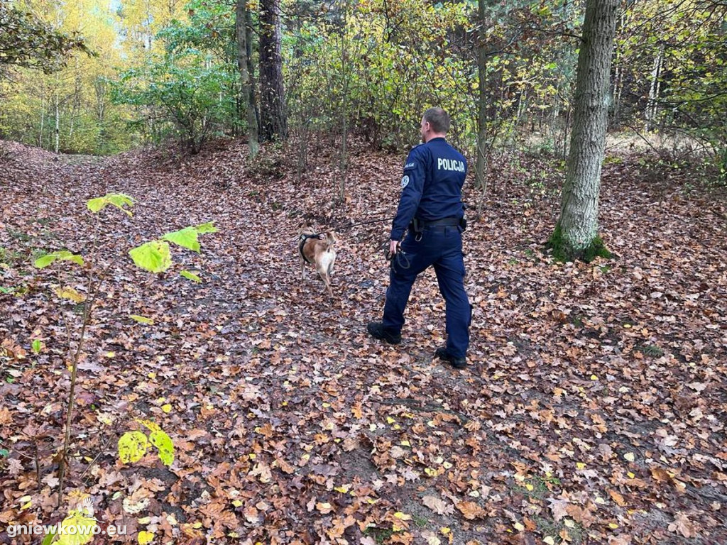 Policjanci z psami w Nadleśnictwie Gniewkowo