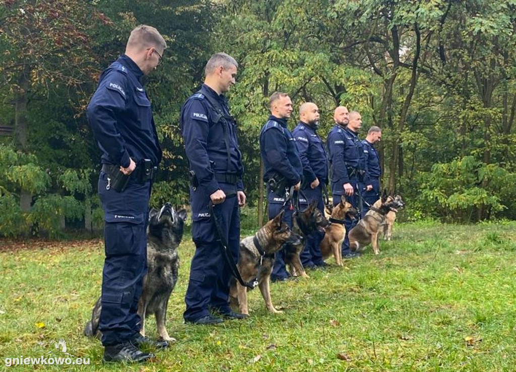 Policjanci z psami w Nadleśnictwie Gniewkowo