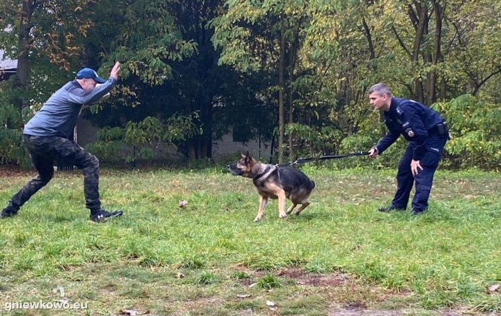 Policjanci z psami w Nadleśnictwie Gniewkowo