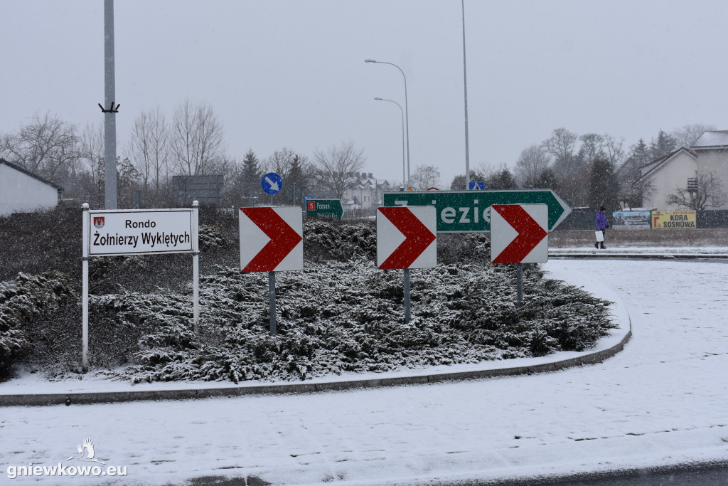 XI Bieg Tropem Wilczym - Gniewkowo 2023