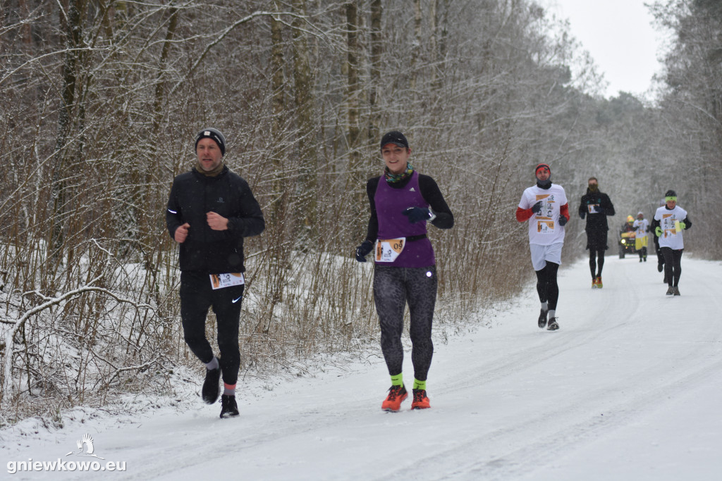 XI Bieg Tropem Wilczym - Gniewkowo 2023