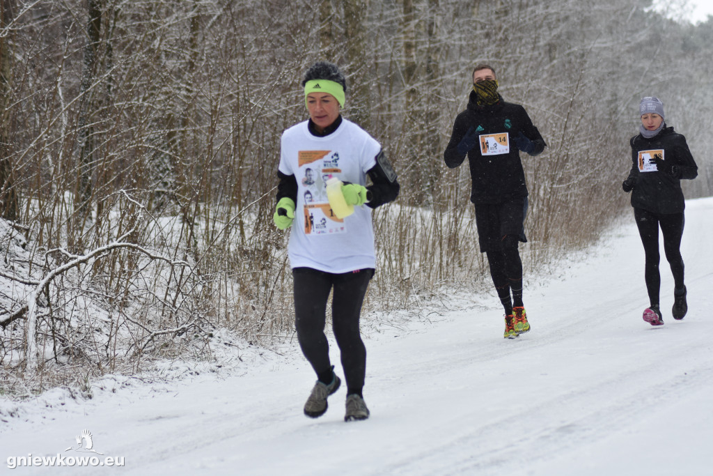 XI Bieg Tropem Wilczym - Gniewkowo 2023