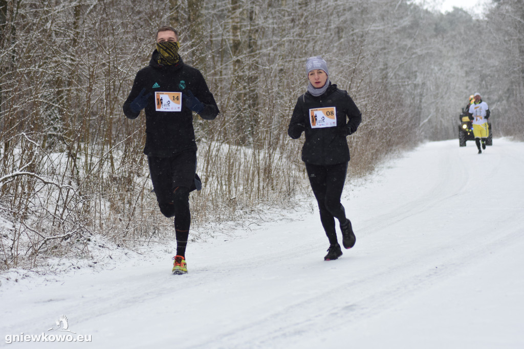 XI Bieg Tropem Wilczym - Gniewkowo 2023