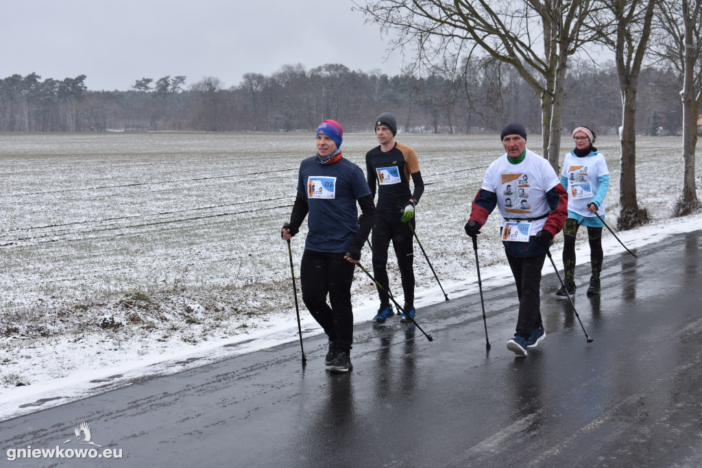 XI Bieg Tropem Wilczym - Gniewkowo 2023