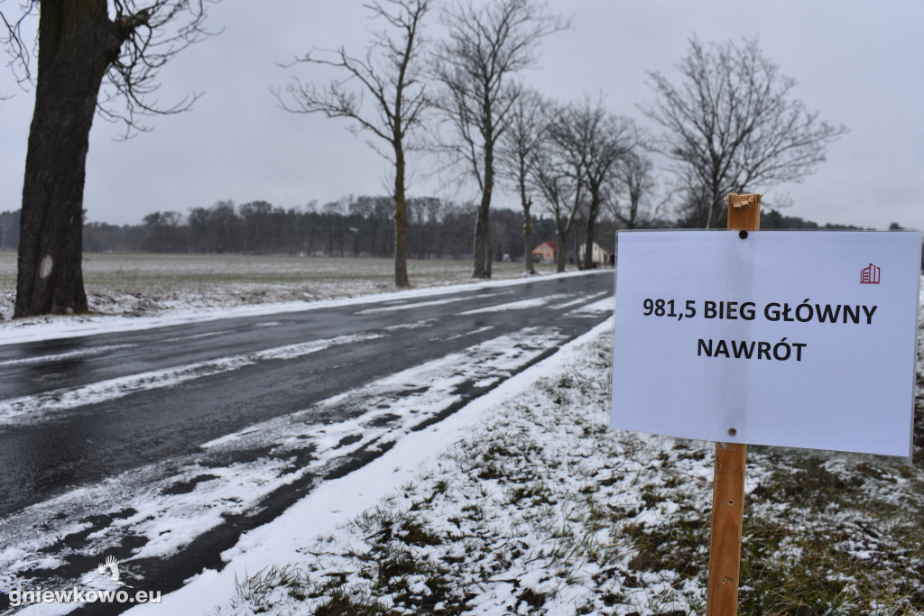 XI Bieg Tropem Wilczym - Gniewkowo 2023