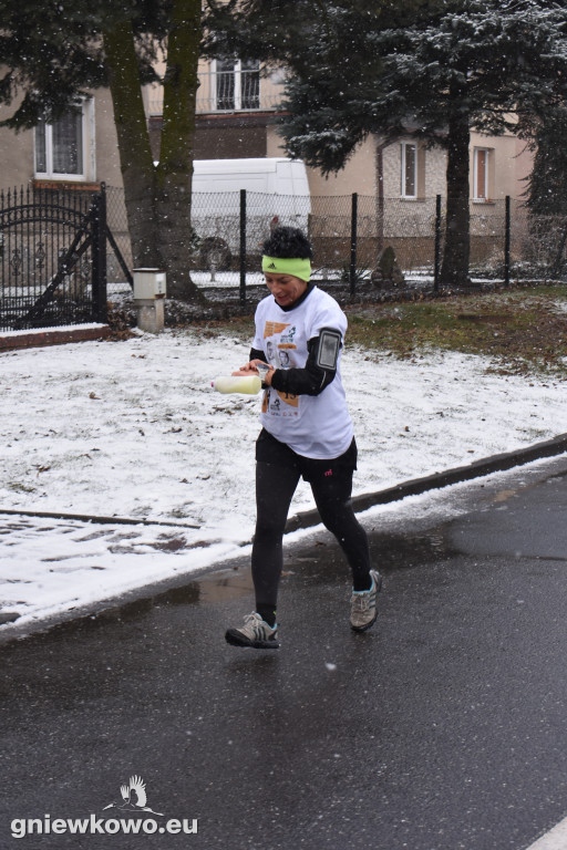 XI Bieg Tropem Wilczym - Gniewkowo 2023