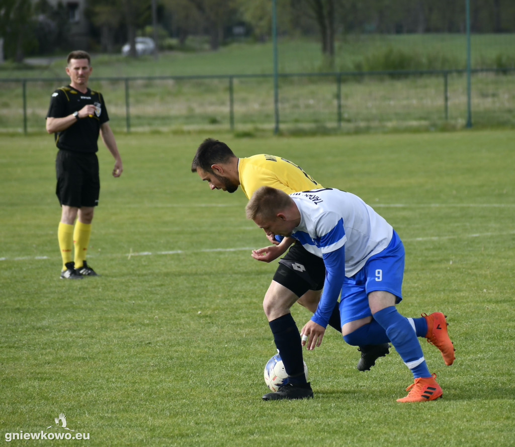 Tarant Wójcin - Mikrus 14.5.23