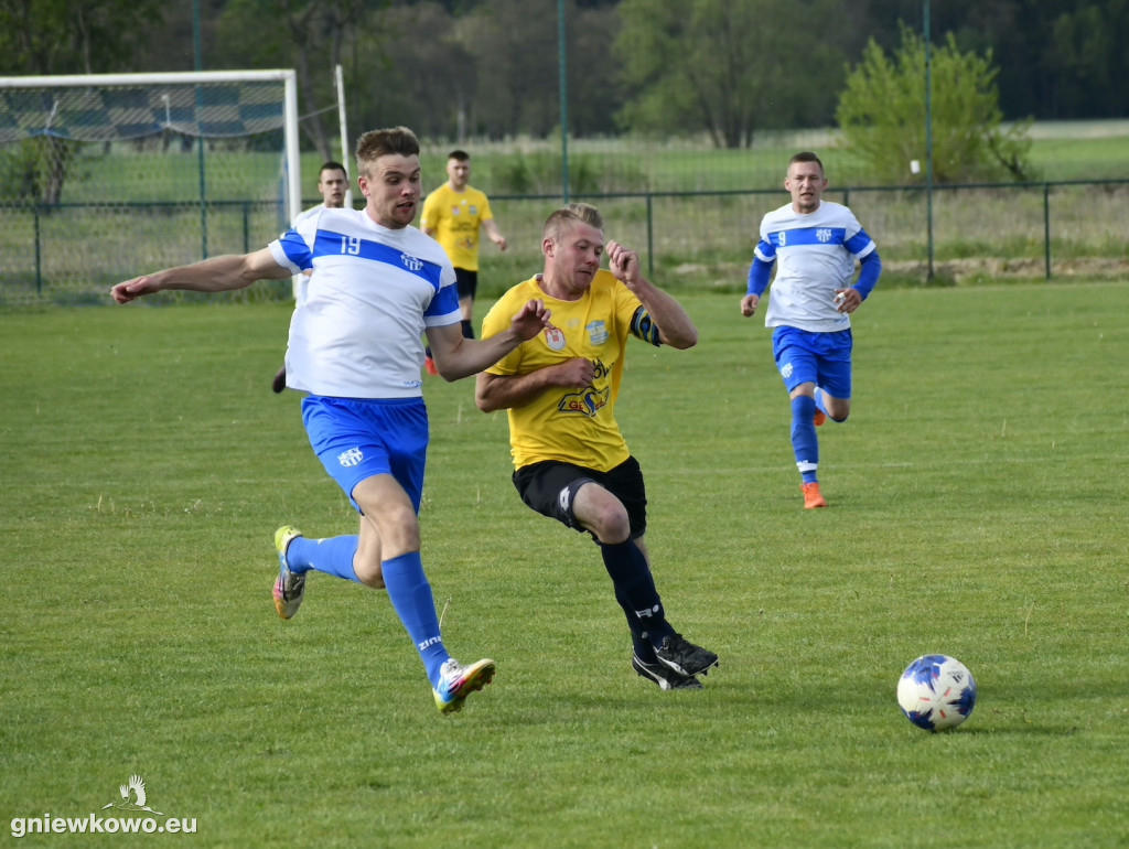 Tarant Wójcin - Mikrus 14.5.23