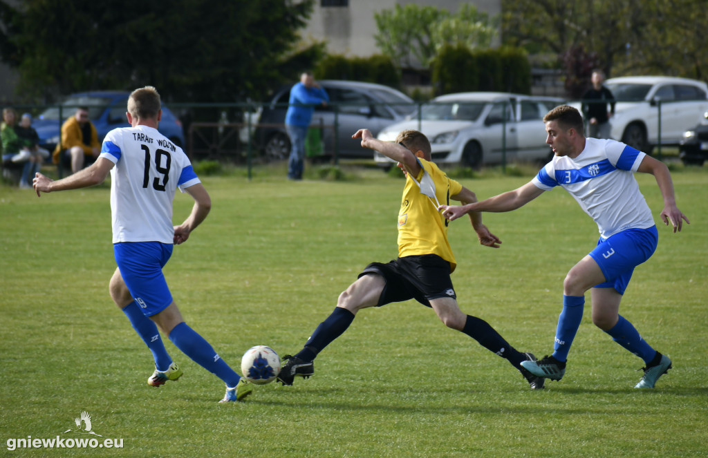 Tarant Wójcin - Mikrus 14.5.23