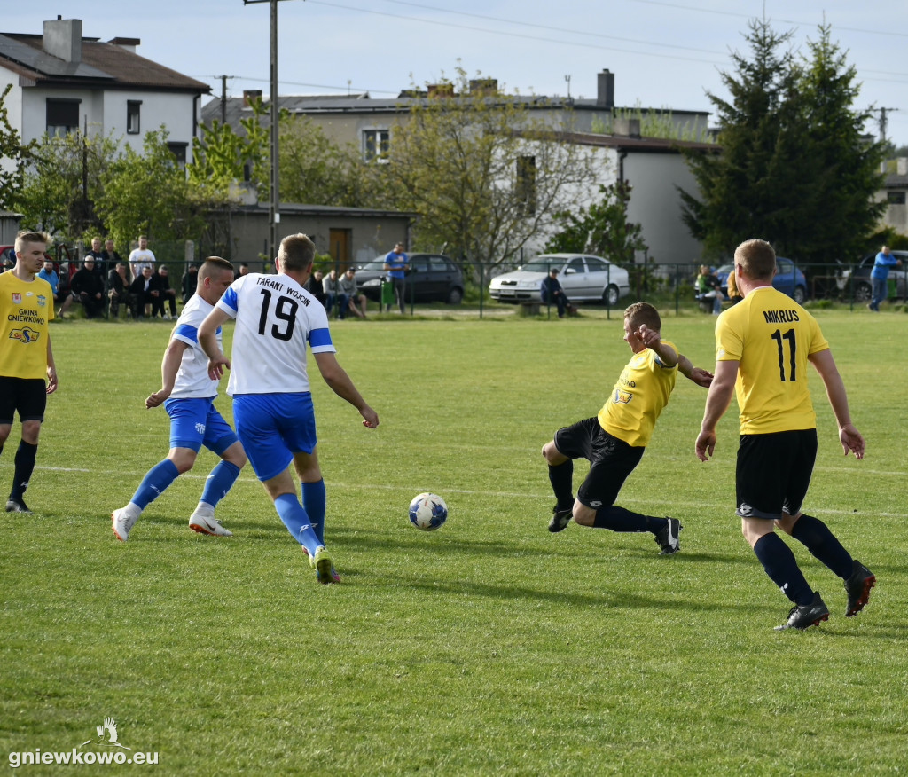 Tarant Wójcin - Mikrus 14.5.23