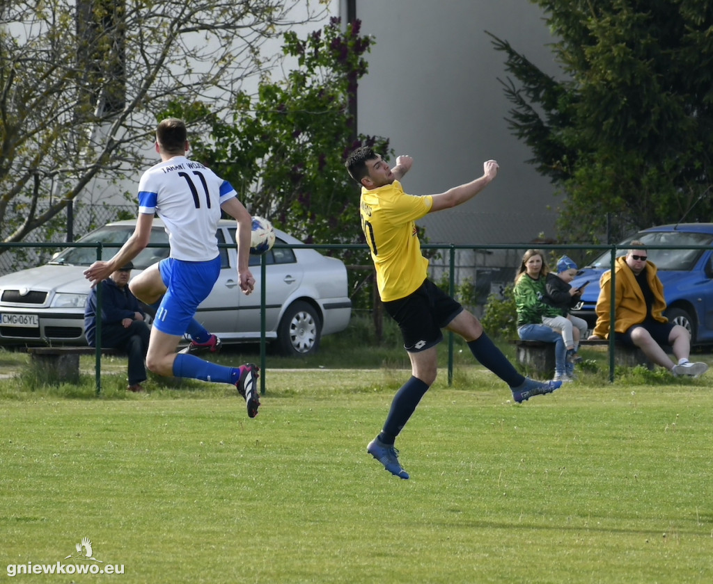 Tarant Wójcin - Mikrus 14.5.23