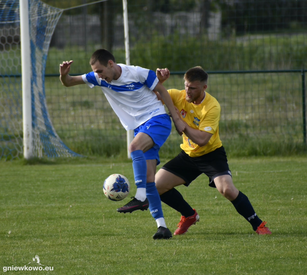 Tarant Wójcin - Mikrus 14.5.23