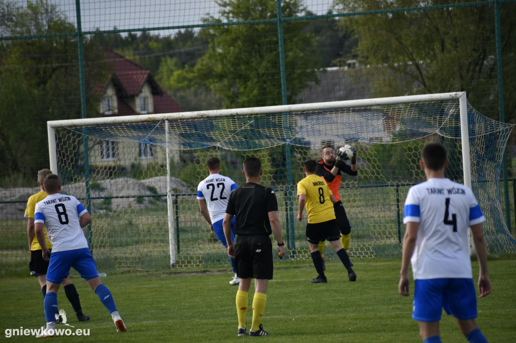 Tarant Wójcin - Mikrus 14.5.23