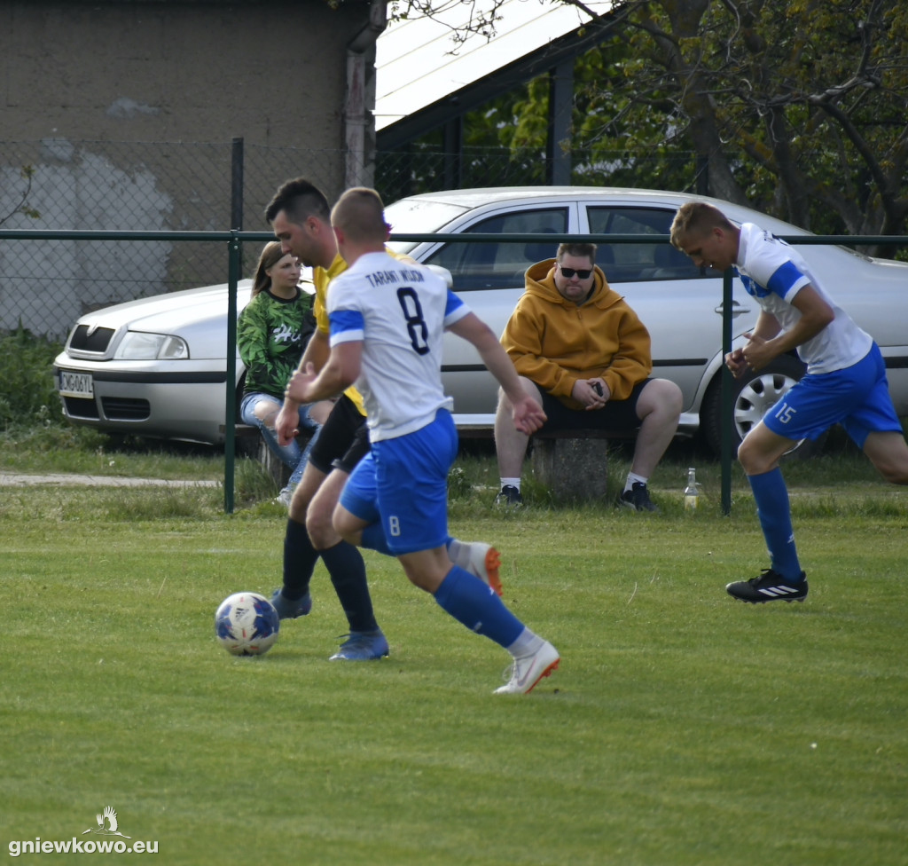 Tarant Wójcin - Mikrus 14.5.23