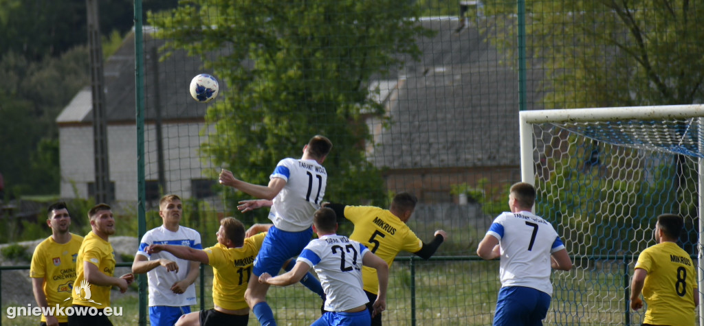 Tarant Wójcin - Mikrus 14.5.23