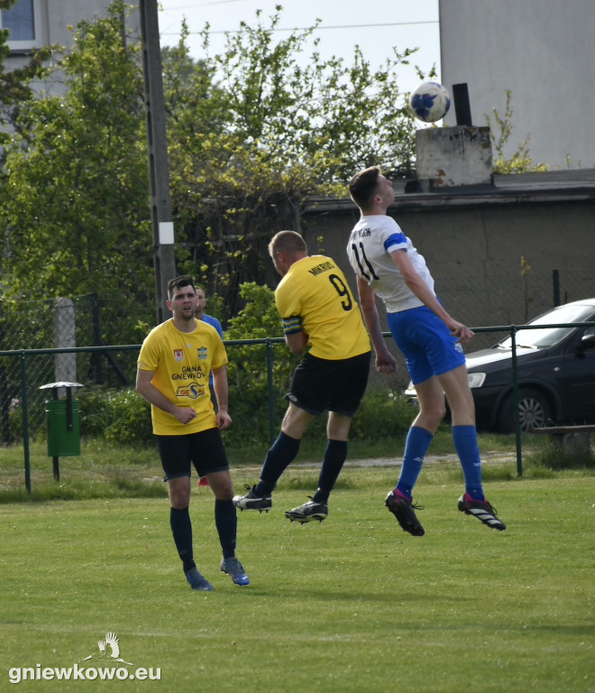 Tarant Wójcin - Mikrus 14.5.23