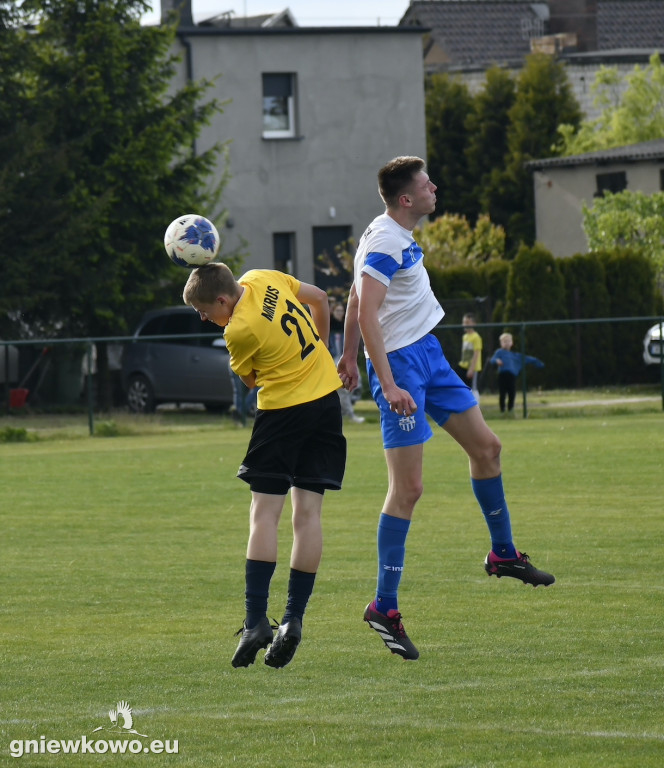 Tarant Wójcin - Mikrus 14.5.23