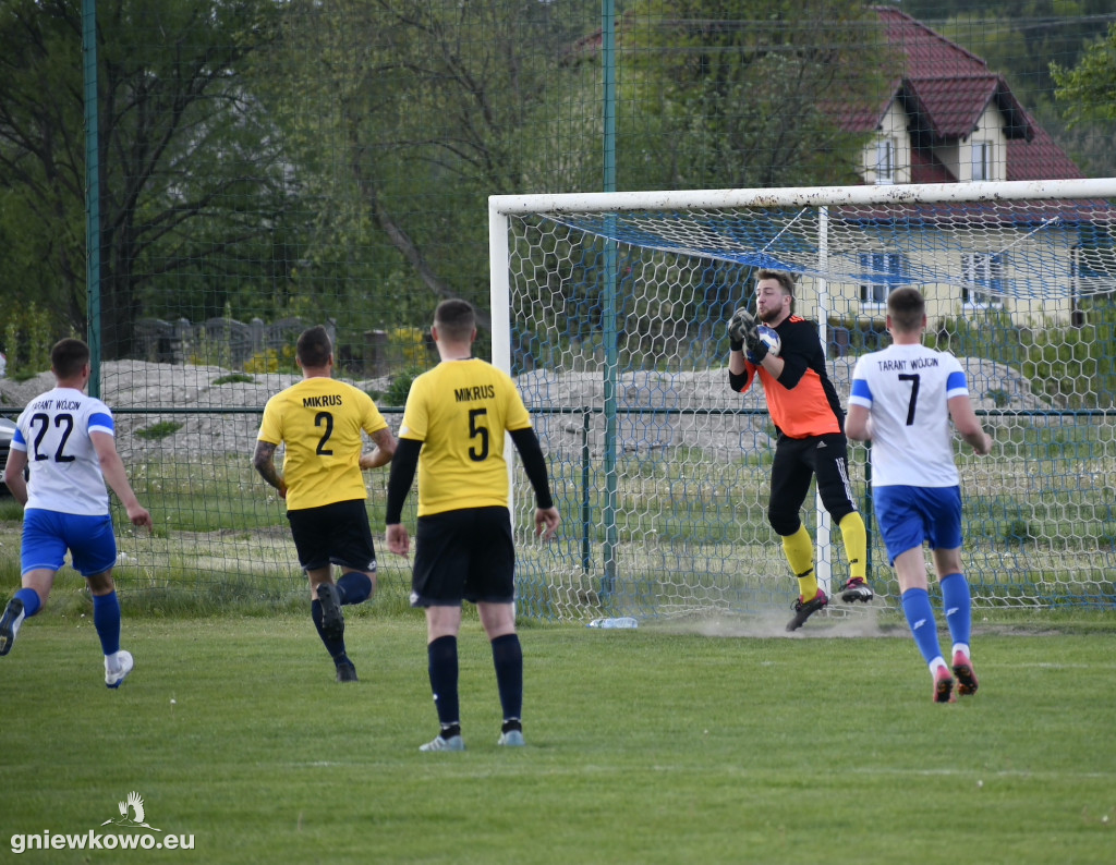 Tarant Wójcin - Mikrus 14.5.23