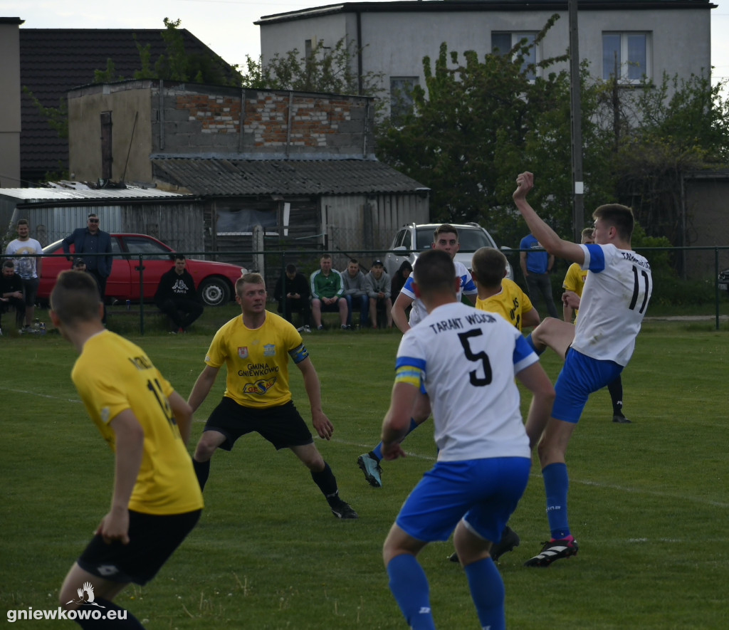 Tarant Wójcin - Mikrus 14.5.23