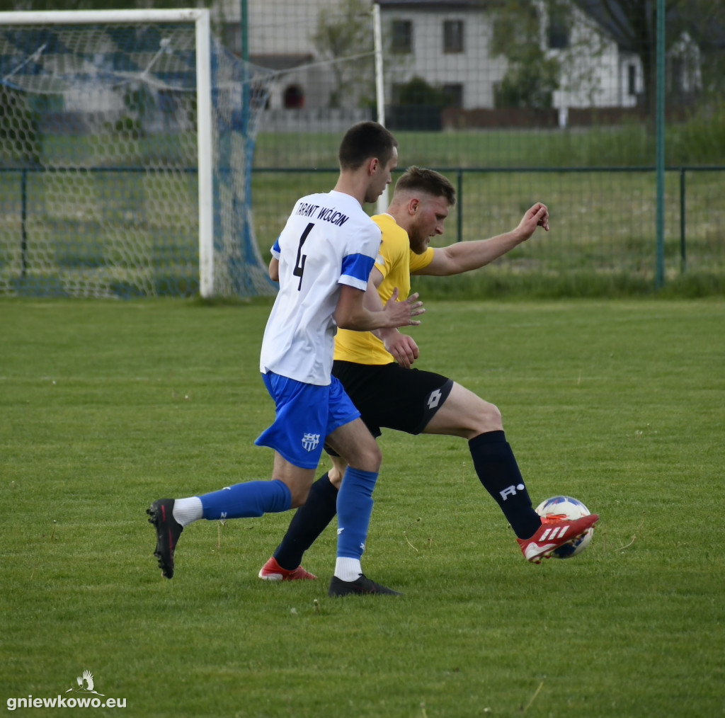 Tarant Wójcin - Mikrus 14.5.23