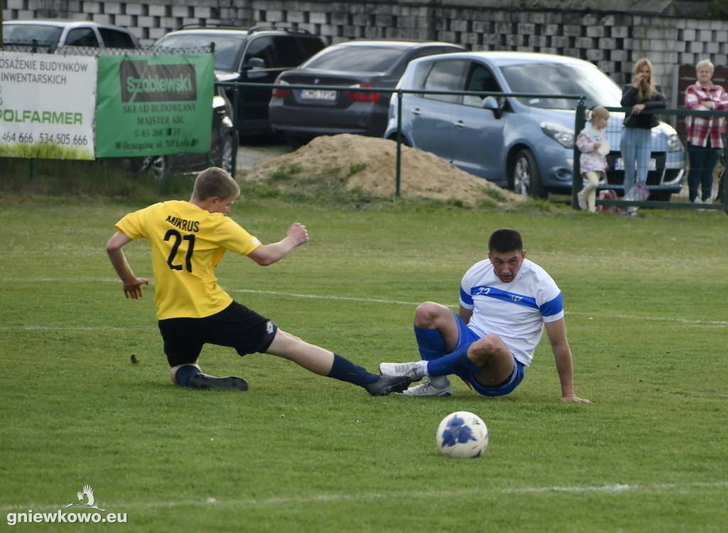 Tarant Wójcin - Mikrus 14.5.23