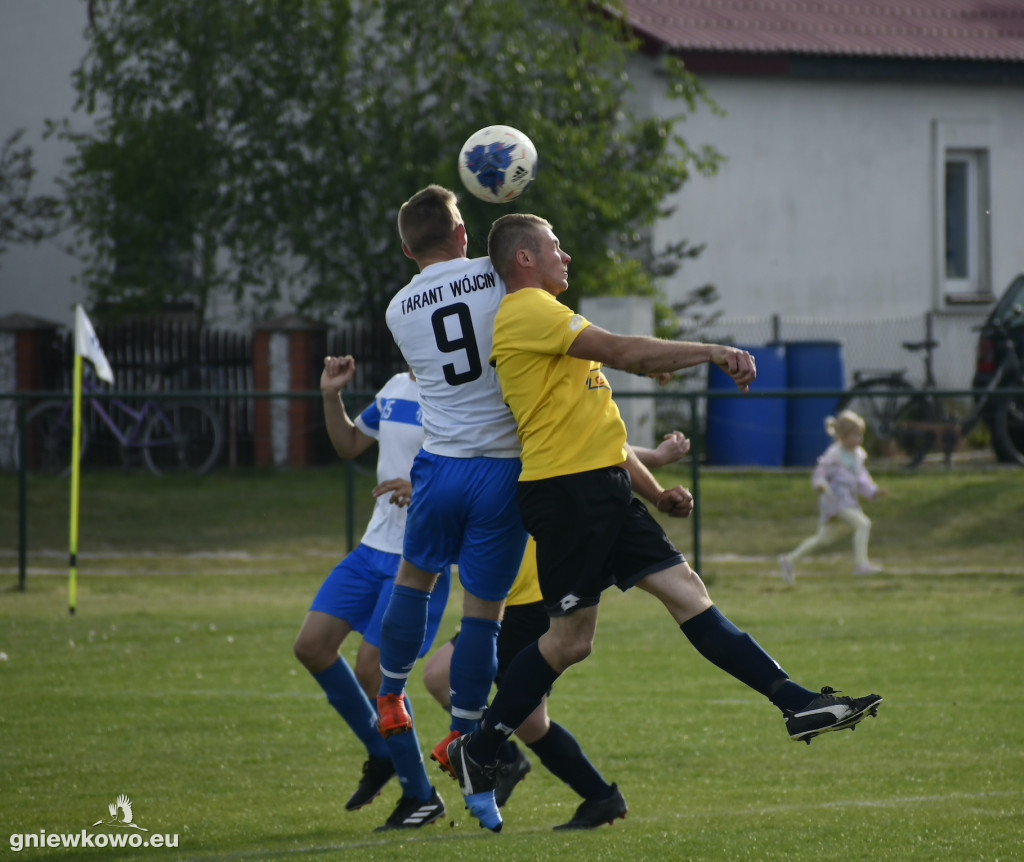 Tarant Wójcin - Mikrus 14.5.23