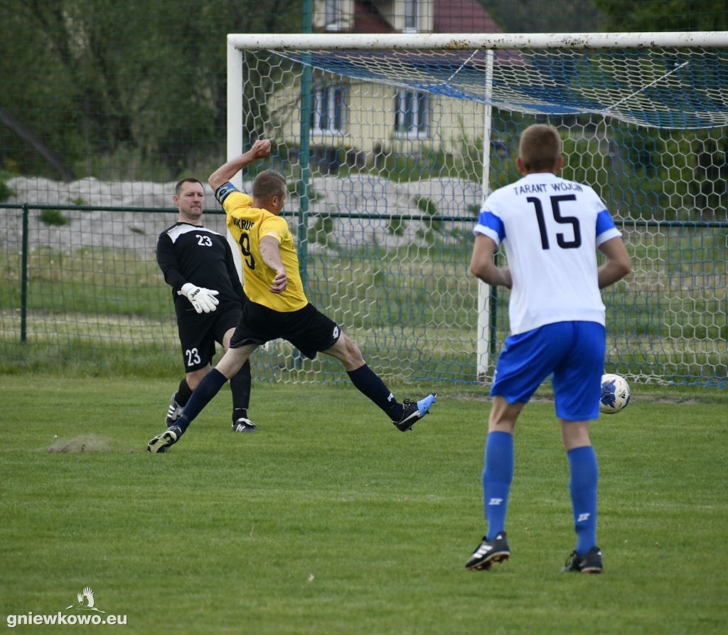 Tarant Wójcin - Mikrus 14.5.23