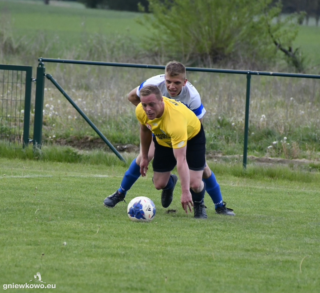 Tarant Wójcin - Mikrus 14.5.23