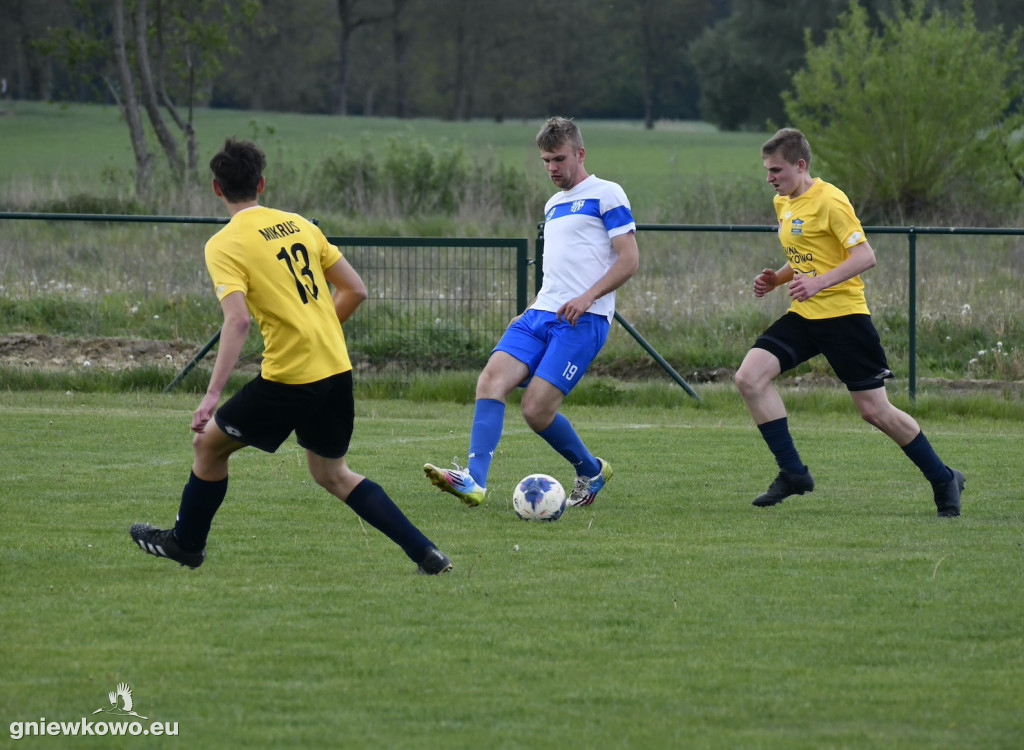 Tarant Wójcin - Mikrus 14.5.23