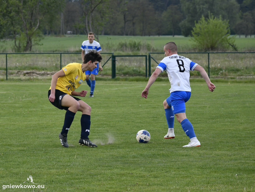 Tarant Wójcin - Mikrus 14.5.23