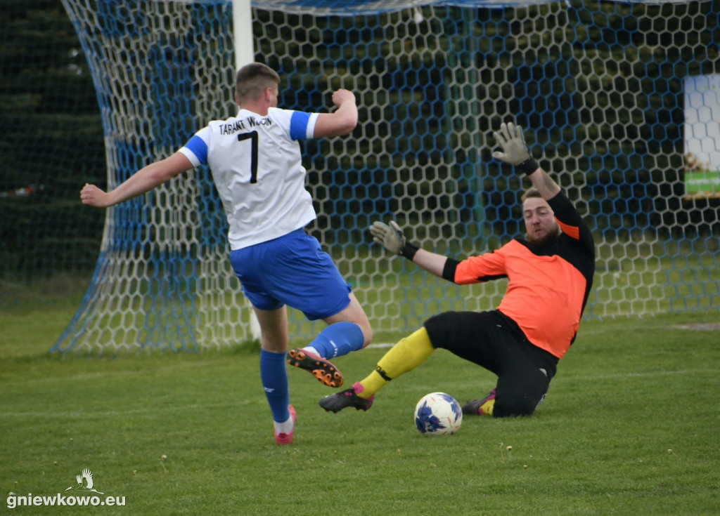 Tarant Wójcin - Mikrus 14.5.23