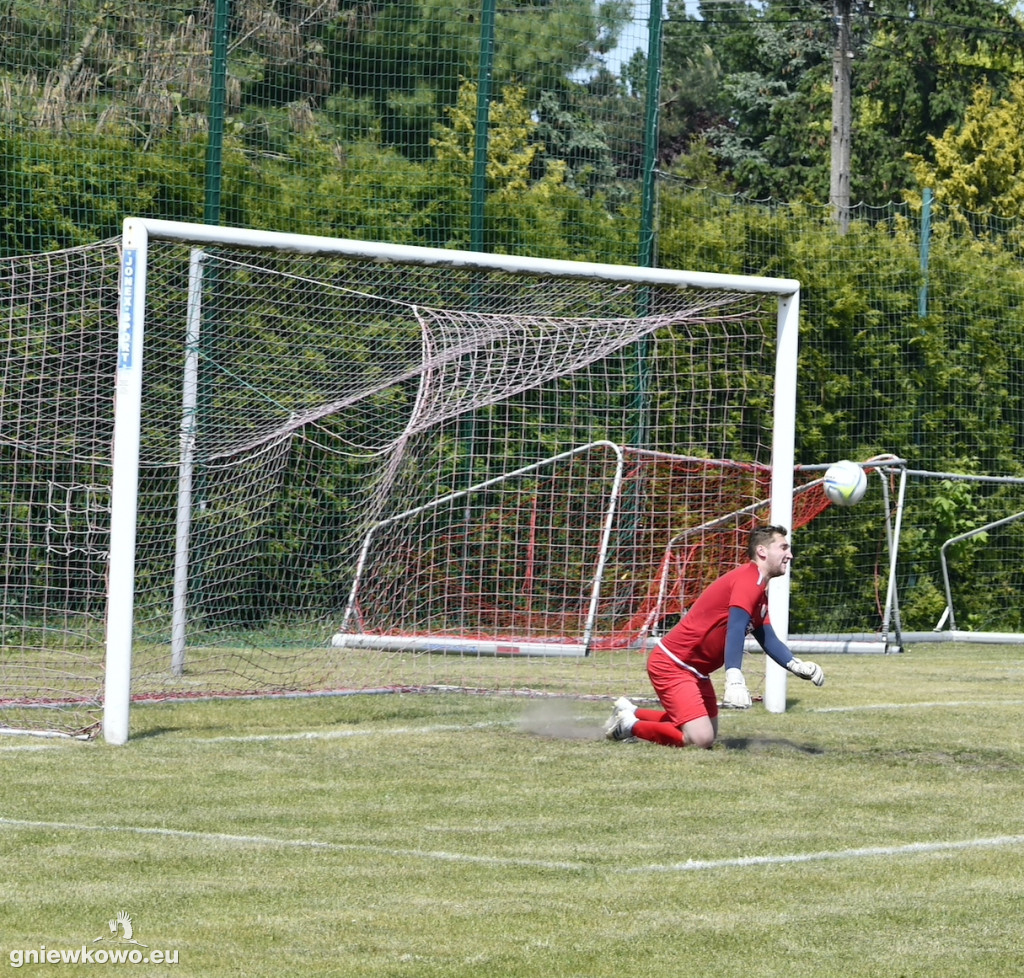 Dąb Bąkowo/Dąbrowa Biskupia - Mikrus 27.5.23