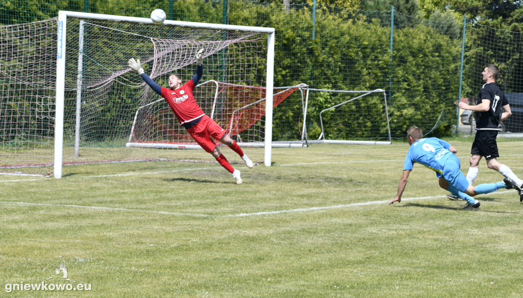 Dąb Bąkowo/Dąbrowa Biskupia - Mikrus 27.5.23