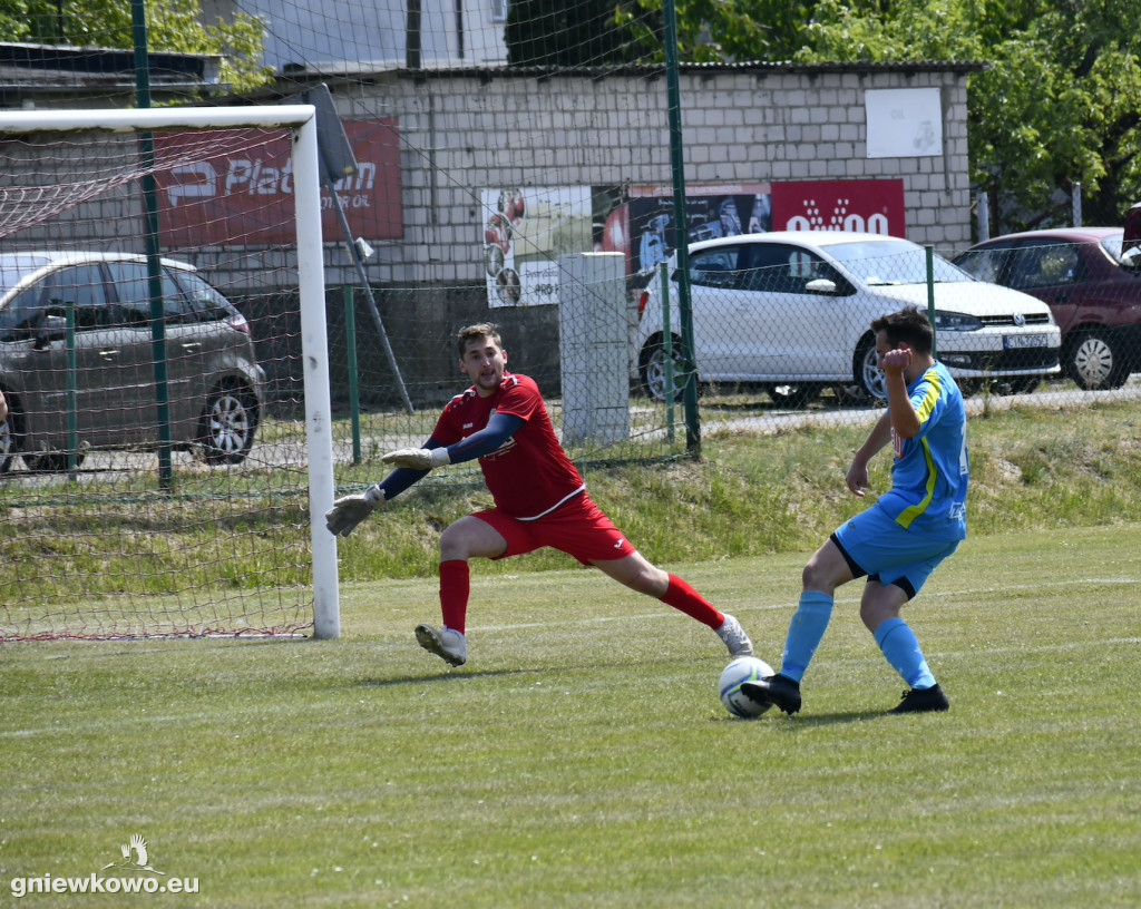 Dąb Bąkowo/Dąbrowa Biskupia - Mikrus 27.5.23
