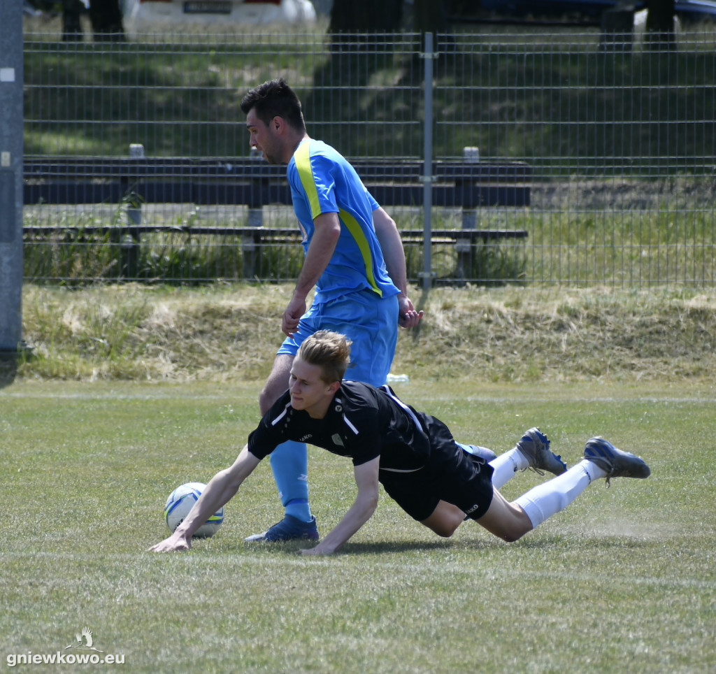 Dąb Bąkowo/Dąbrowa Biskupia - Mikrus 27.5.23