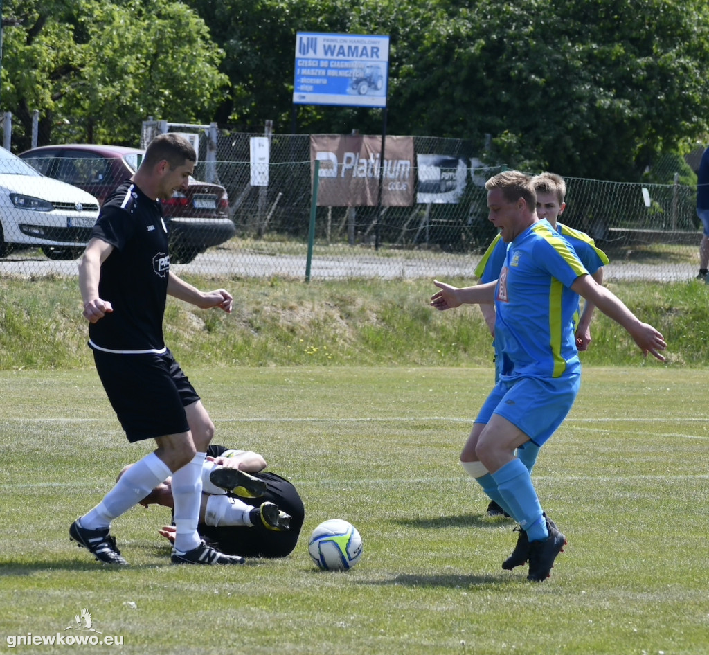 Dąb Bąkowo/Dąbrowa Biskupia - Mikrus 27.5.23