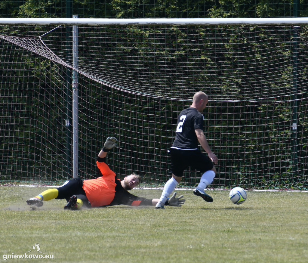 Dąb Bąkowo/Dąbrowa Biskupia - Mikrus 27.5.23