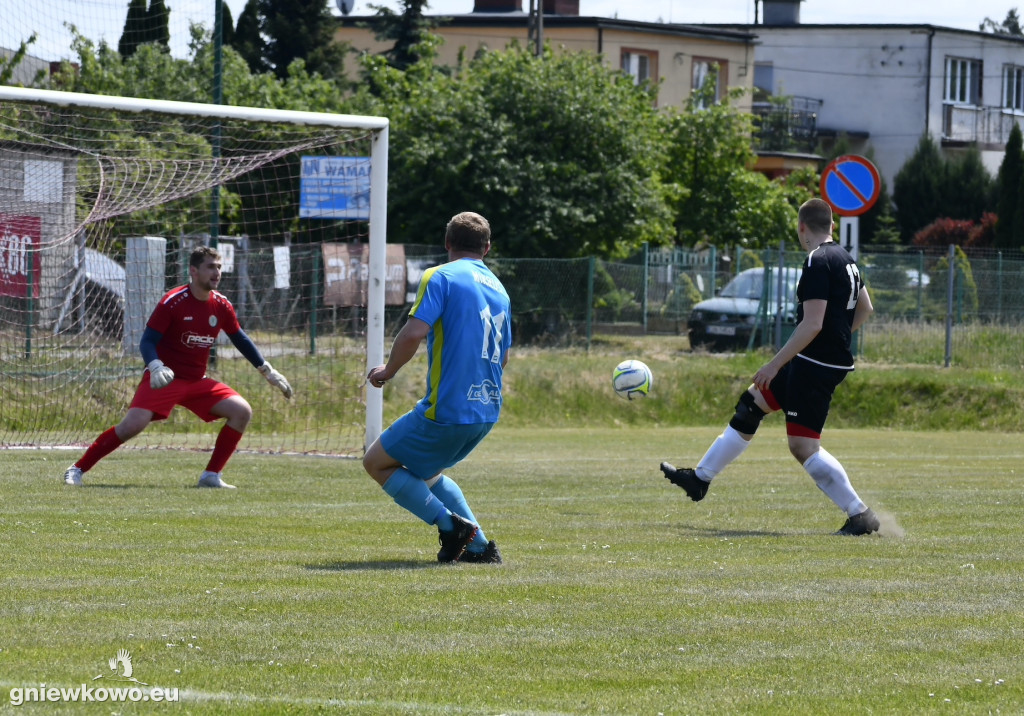 Dąb Bąkowo/Dąbrowa Biskupia - Mikrus 27.5.23