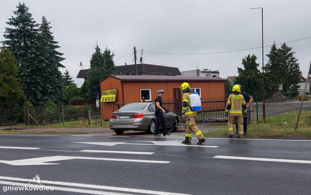 Niebezpieczna substancja na DK15