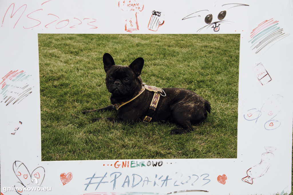 MŚ w Udawaniu Gry w Piłkę #PADAKA2023