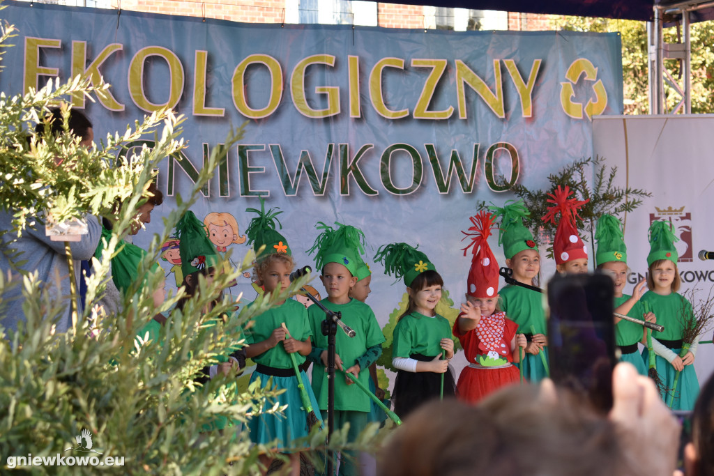 V Festyn Ekologiczny