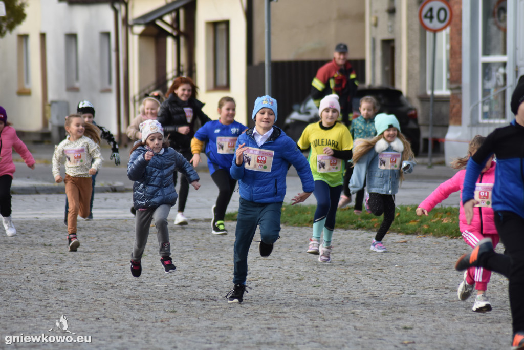 XXIX Bieg im. Rodziny Milewskich w Gniewkowie cz. 1