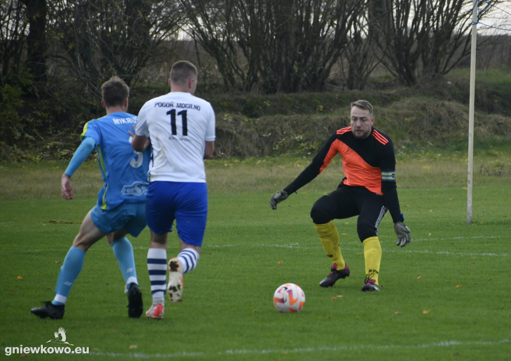 Pogoń II Mogilno - Mikrus 5.11.23