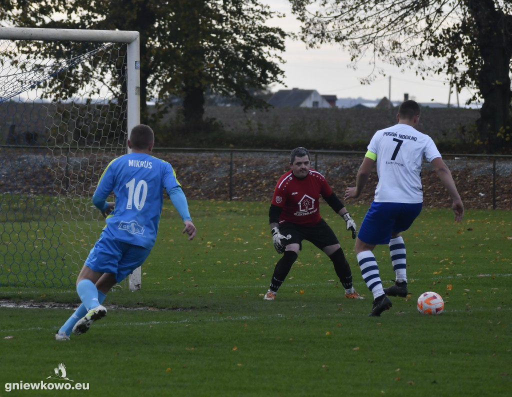 Pogoń II Mogilno - Mikrus 5.11.23