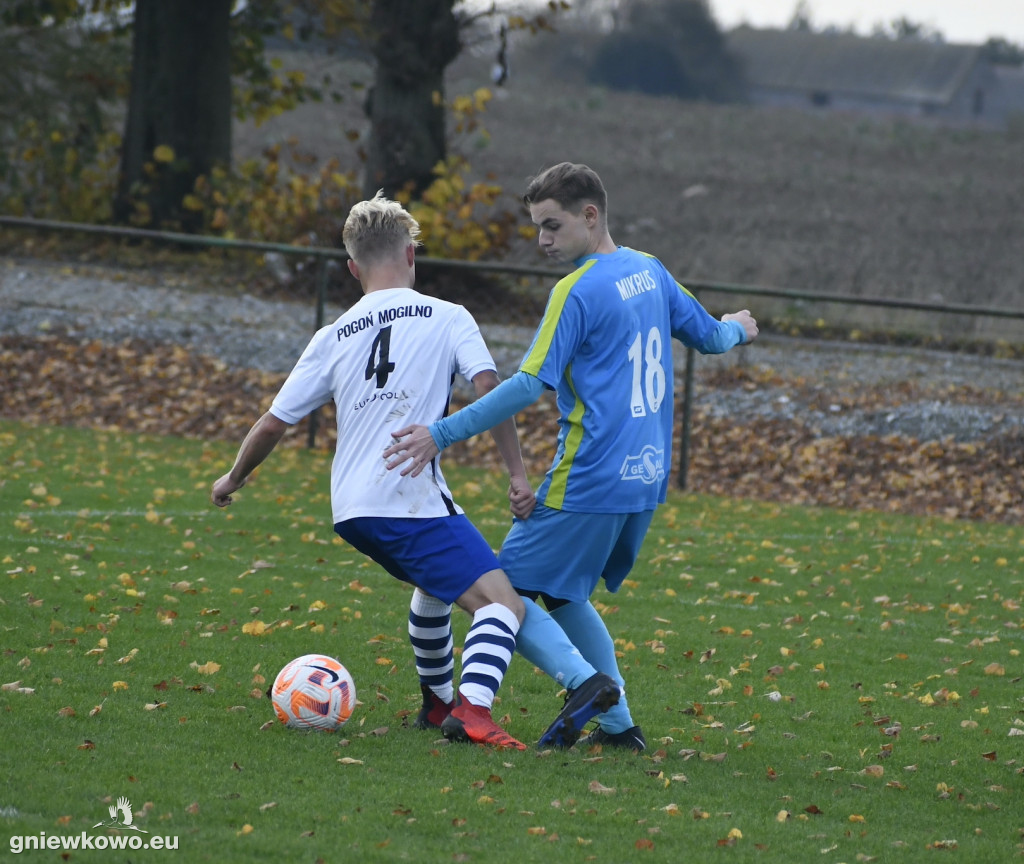 Pogoń II Mogilno - Mikrus 5.11.23